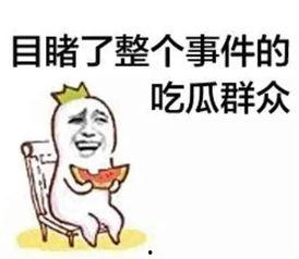 娱乐圈吃瓜呆头鹅是谁呀,揭秘神秘人物背后的故事  第3张